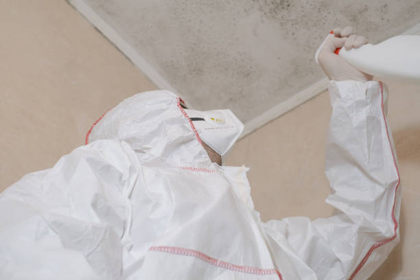 Best Mold Cleaning Services  in Meyers, CA